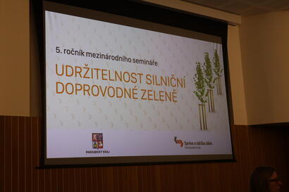 Seminář Udržitelnost silniční doprovodné zeleně: Podívejte se na prezentace odborníků