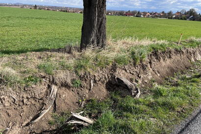 Jak cestáři pečují o zeleň kolem silnic?