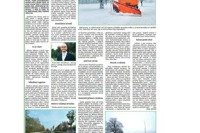 Stromy mají svůj význam i v zimním období