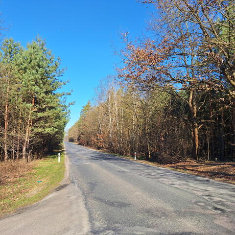 Silnice III/32722 Břehy - Sopřeč