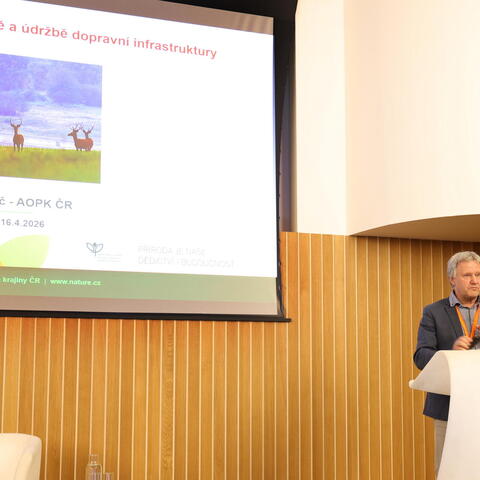 Přednáška Ing. Václava Hlaváče - Migrace a problematika střetu se zvěří