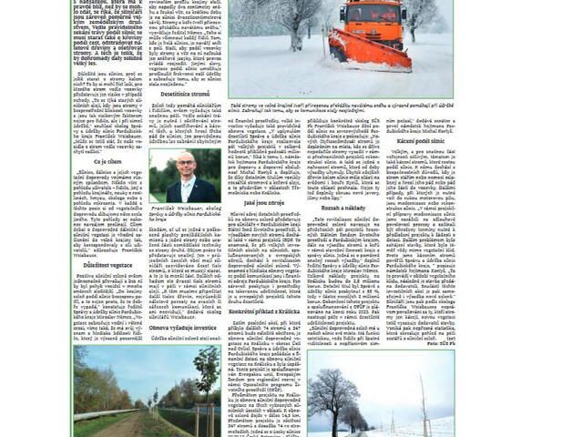 Stromy mají svůj význam i v zimním období