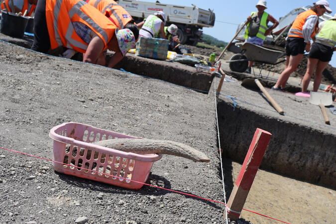 Archeologové na trase budoucího přivaděče k D35 odkrývají stopy dávných kultur